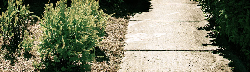 在线电话轰炸软件